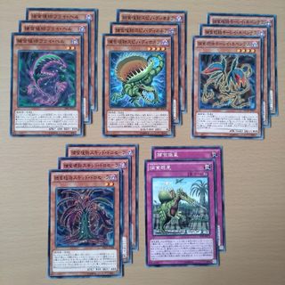 遊戯王OCG 捕食植物(プレデター・プランツ)パーツ