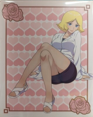アニメBlu-ray ガンダムさん