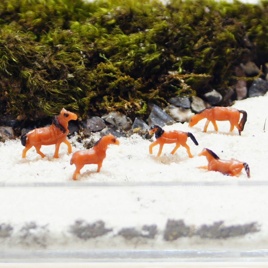 【S】馬　ウマ 全5種類 ミニチュア　ジオラマ　動物模型 苔テラリウム おもちゃ フィギュア 苔ボトル